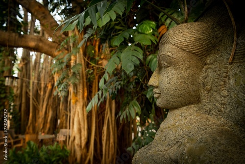 Stone sculpture of Goddess Laxmi, Banyan tree, Tamil Nadu, India, Asia photo