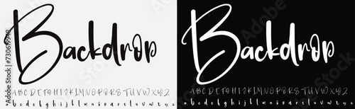 signature Font Calligraphy Logotype Script Brush Font Type Font lettering handwritten
