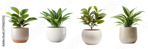Set of a Plant Pot isolated on a Transparent Background