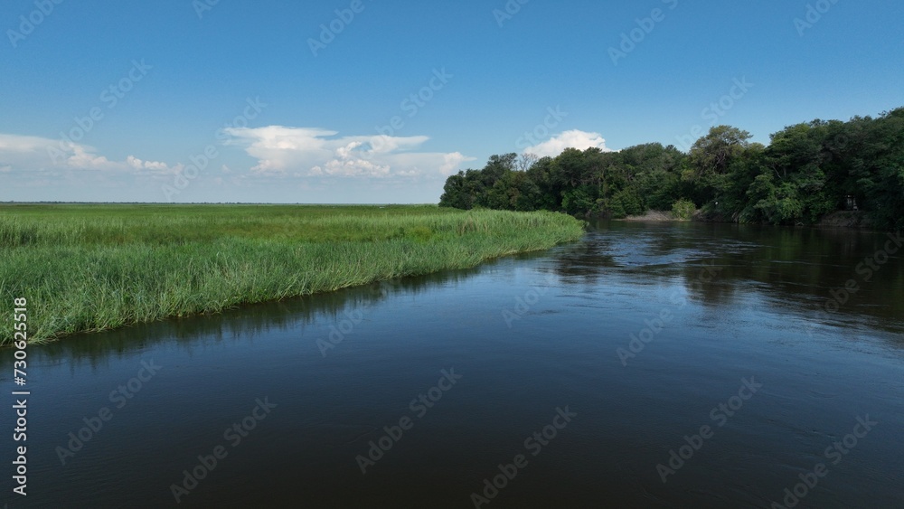 Fototapeta premium The Okavango river in Botswana, Africa