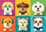 Fluffy cartoon different dog breeds drawing, white background in different color squares


