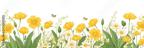 field of yellow flowers and butterflies on white background