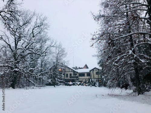 Beautiful lonely mansion in the forest during wintertime