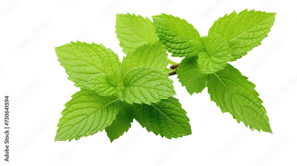 Fresh mint leaves isolated on transparent background, Generative ai. Fresh mint leaves isolated on transparent background, Generative ai.