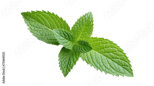Fresh mint leaves isolated on transparent background, Generative ai.