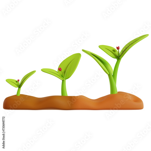 Sprouting Green Plants