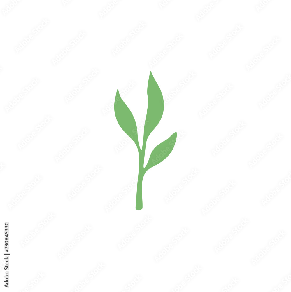 Fototapeta premium Green Tea leaves vektor 