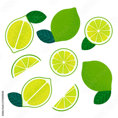 Lime and Lime slices Design Elements Set