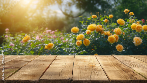 an empty wooden deck on the background of a blooming garden with yellow roses. display your product outdoors.