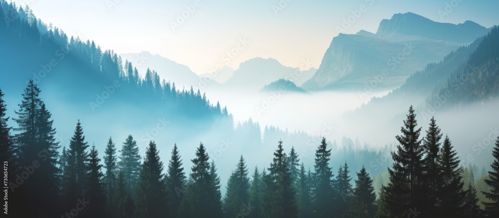 Rustic mountain scenery with coniferous trees on a misty sunny morning