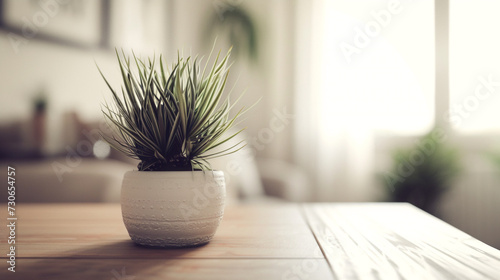 interior scenes containing a white terra cotta plant on a table photo