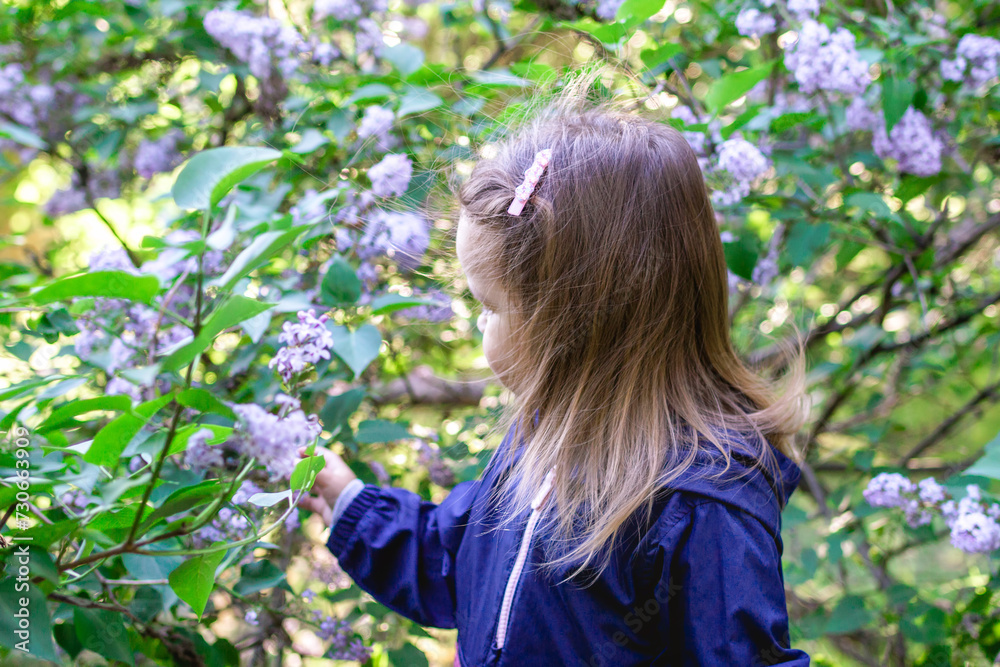 Portrait of cute little girl in a garden with lilac trees, back view. Candid child portrait at spring season.