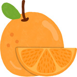 orange clipart. isolated illustration on transparent background
