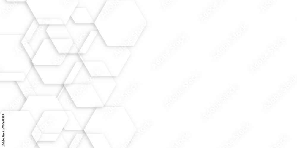 Luxury white and grey hexagonal abstract background with shadow. Geometric 3d texture illustration. Abstract hexagonal concept technology, banner and wallpaper background. Luxury white and grey hexagonal abstract background with shadow. Geometric 3d texture illustration. Abstract hexagonal concept technology, banner and wallpaper background.