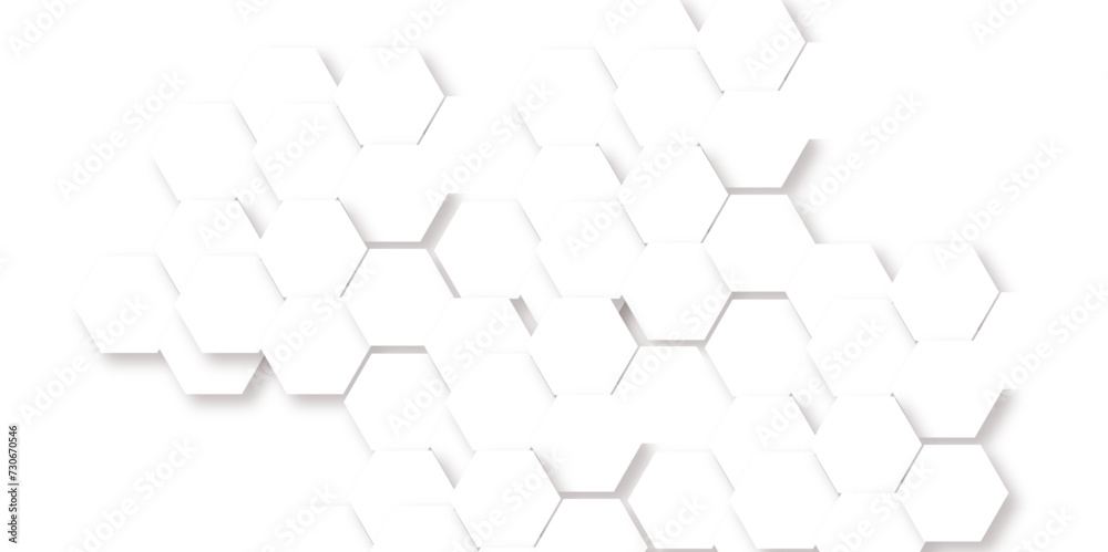 Luxury white and grey hexagonal abstract background with shadow. Geometric 3d texture illustration. Abstract hexagonal concept technology, banner and wallpaper background. Luxury white and grey hexagonal abstract background with shadow. Geometric 3d texture illustration. Abstract hexagonal concept technology, banner and wallpaper background.