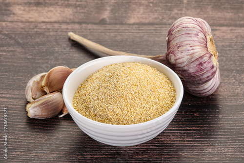 Fotografia Dry granulated garlic aroma seasoning