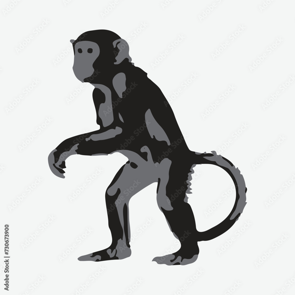 Obraz premium monkey vector with white background