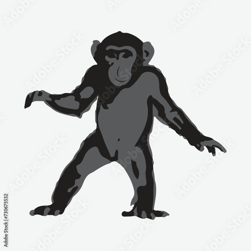 monkey vector with white background