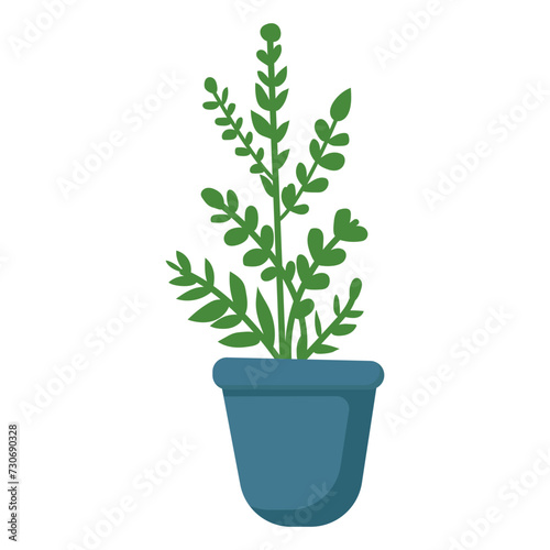 House plants in pots. Element for design house, room or office. Isolated element on white background.