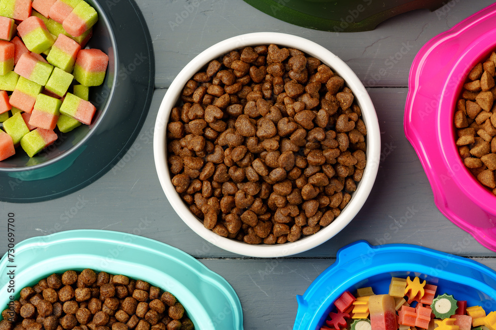 Various pet bowls with dry food on gray wooden background Various pet bowls with dry food on gray wooden background