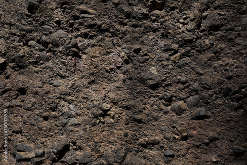 soil in the soil
