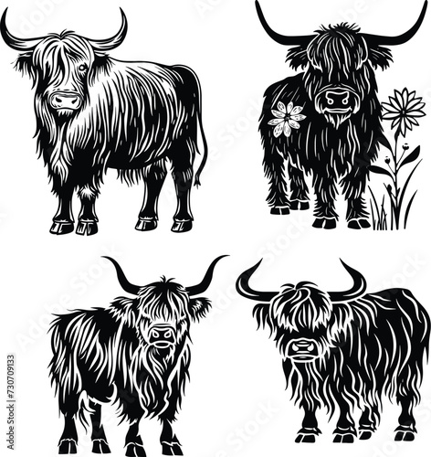 floral highland cow silhouette, flower cow set vector illustration 
