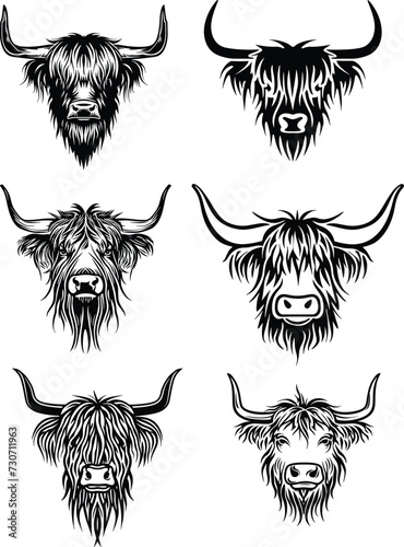 highland cow  silhouette set vector illustration 