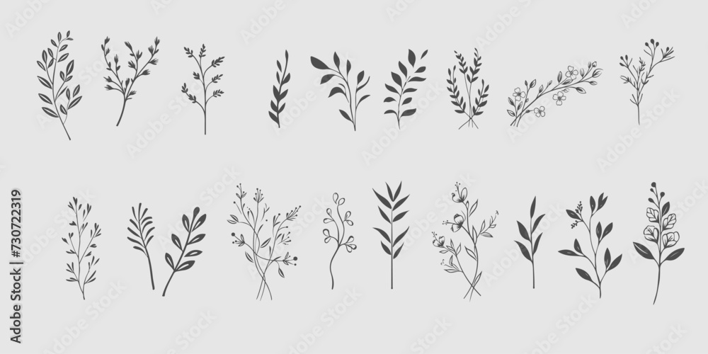Set Floral branch and minimalist leaves for logo or tattoo. Hand drawn line wedding - obrazy, fototapety, plakaty 