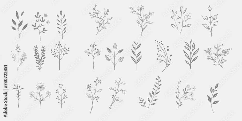 Naklejka premium Set Floral branch and minimalist leaves for logo or tattoo. Hand drawn line wedding