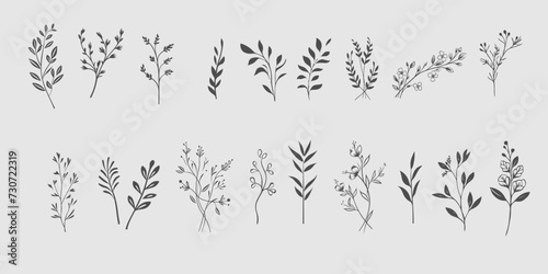 Set Floral branch and minimalist leaves for logo or tattoo. Hand drawn line wedding photo