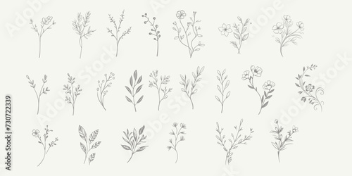 Set Floral branch and minimalist leaves for logo or tattoo. Hand drawn line wedding