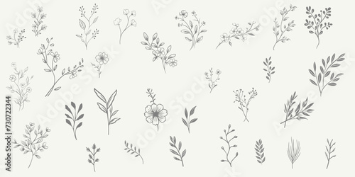 Set Floral branch and minimalist leaves for logo or tattoo. Hand drawn line wedding