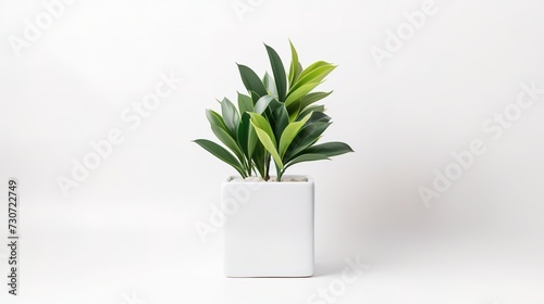 Artificial plant in white pot isolated on white background. Square size of photo, generative ai,  © curek