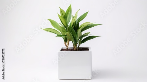 Artificial plant in white pot isolated on white background. Square size of photo, generative ai,  © curek