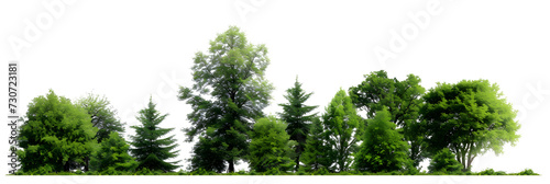Green Trees on transparent background