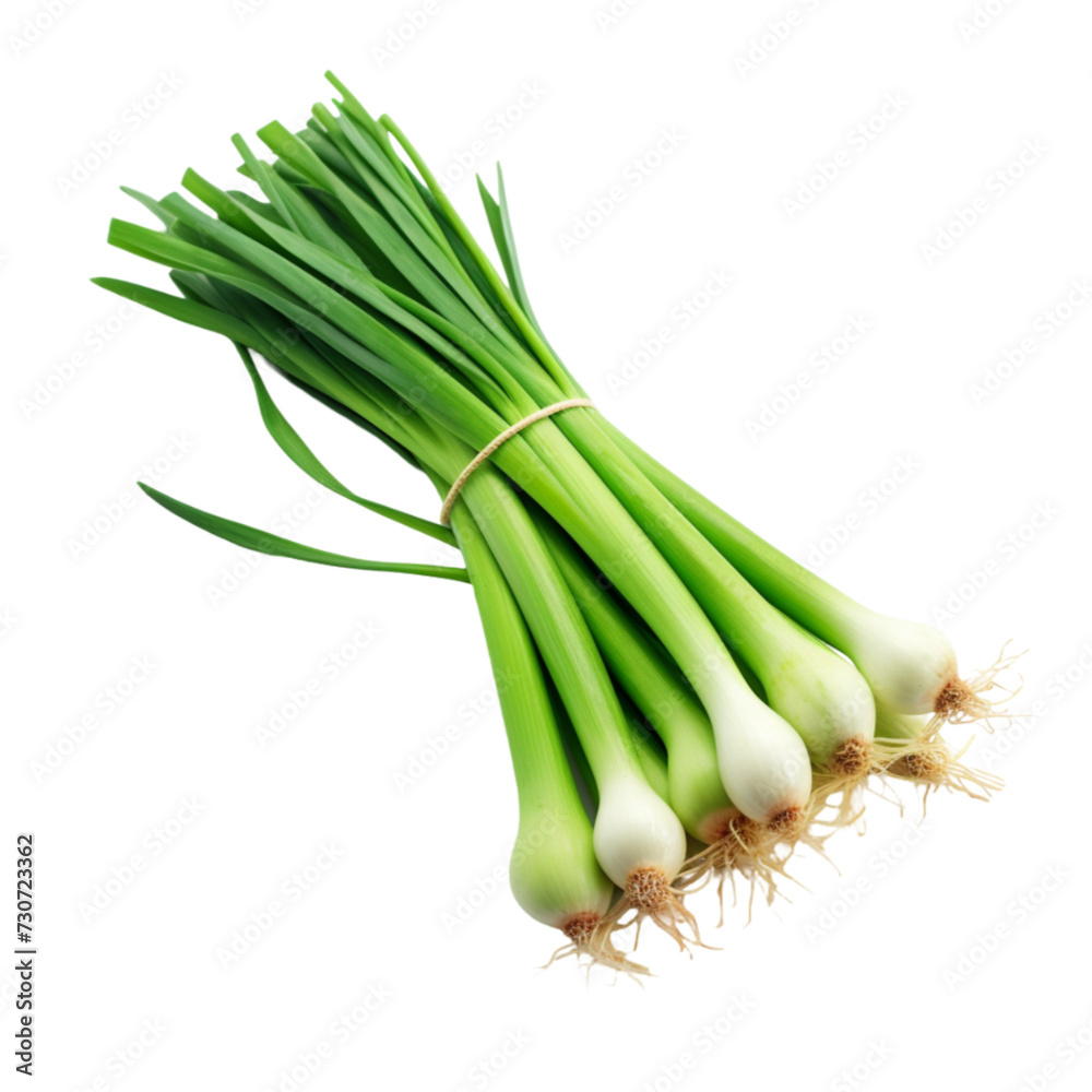 green onions isolated on a white background with clipping path. green onions isolated on a white background with clipping path.