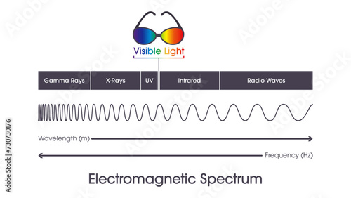 Electromagnetic spectrum wavelengths and frequency vector graphic