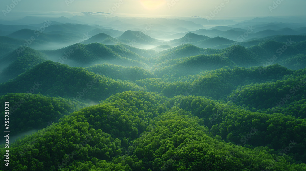 Obraz premium 霧のかかった山