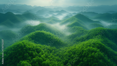 霧のかかった山