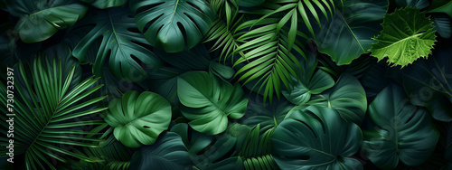 Wallpaper Mural Tropical leaves background. Green leaf banner and floral jungle pattern concept. abstract green leaf texture. Torontodigital.ca
