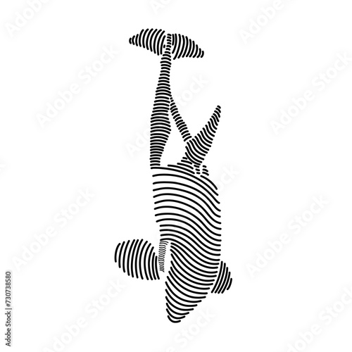 Simple line art illustration of an orca whale 3