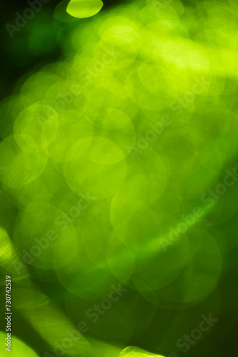 green blur background, holiday texture