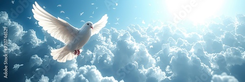 2 Birds Flying High Cloudy Sky, Background Banner HD