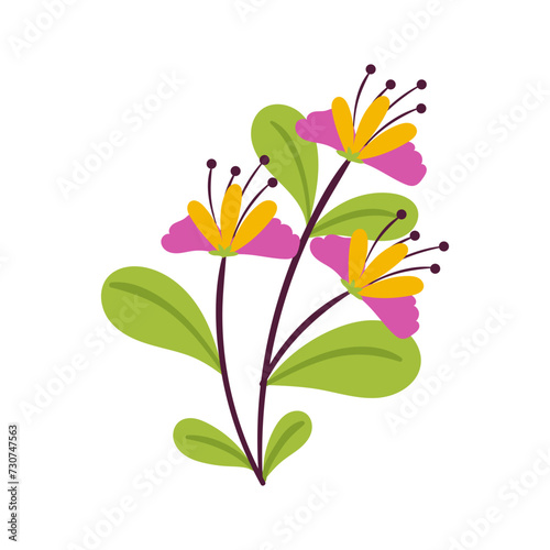 vector flower object illustration © Murzani