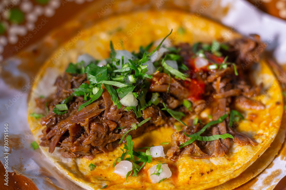close up shot of birria taco with red sauce. Mexican food close up shot of birria taco with red sauce. Mexican food