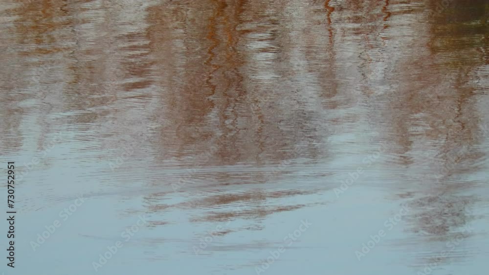 glare and reflections on the water. the sky is reflected in the water. Background of waves, reflections, refractions and abstract diffractions, in the blue, clean and crystalline water. trees are refl glare and reflections on the water. the sky is reflected in the water. Background of waves, reflections, refractions and abstract diffractions, in the blue, clean and crystalline water. trees are refl