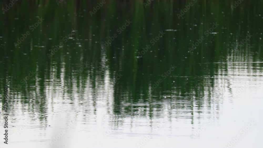 glare and reflections on the water. the sky is reflected in the water. Background of waves, reflections, refractions and abstract diffractions, in the blue, clean and crystalline water. trees are refl glare and reflections on the water. the sky is reflected in the water. Background of waves, reflections, refractions and abstract diffractions, in the blue, clean and crystalline water. trees are refl