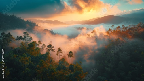 Aerial view of foggy forest in the morning at sunrise