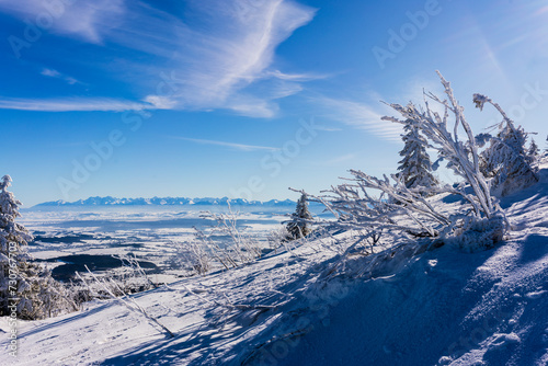 Fototapeta Naklejka Na Ścianę i Meble -  winter landscape with snow