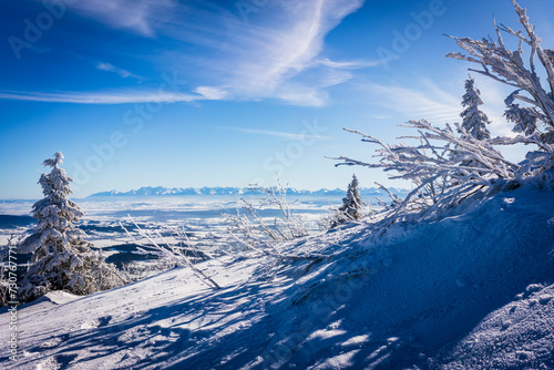 Fototapeta Naklejka Na Ścianę i Meble -  babia góra, beskidy, poland, winter, snow, forest, tree, cold, landscape, mountain, sky, nature, trees, white, frost, christmas, ice, snowy, frozen, blue, pine, fir, ski, season, wood, sun, road